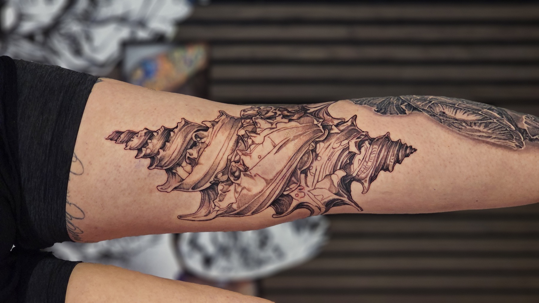 Muschel als detailreiches Black-&-Grey-Tattoo – Custom Tattoo von Lucas Schenk in Rothenburg bei Luzern
